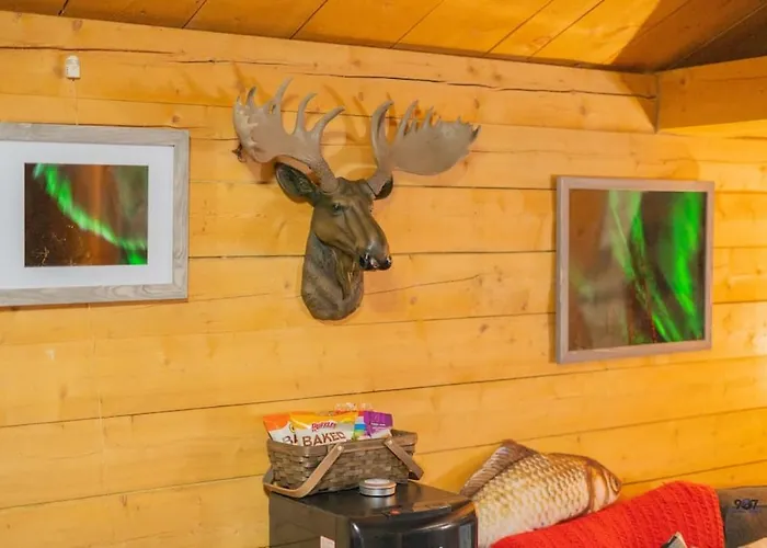 1 Bd. Deluxe Log Dry Cabin| Views Northern Lights!