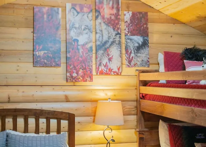 1 Bd. Deluxe Log Dry Cabin| Views Northern Lights!
